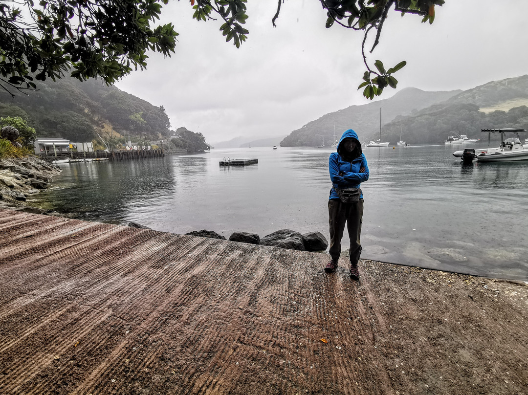 Port Fitzroy旅游攻略图片