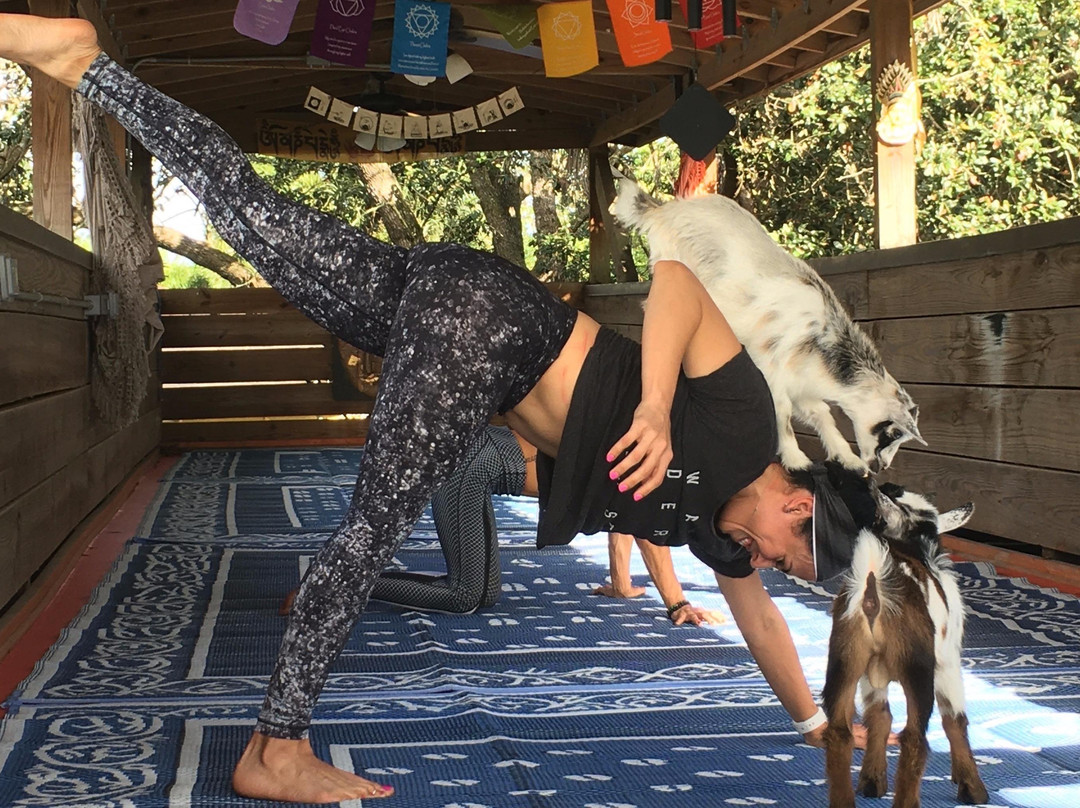 Intentions Ranch & Intentions Publishing-Southwest Ranches必去景点