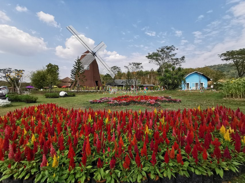 Viva Foresta Farm-那艾安必去景点