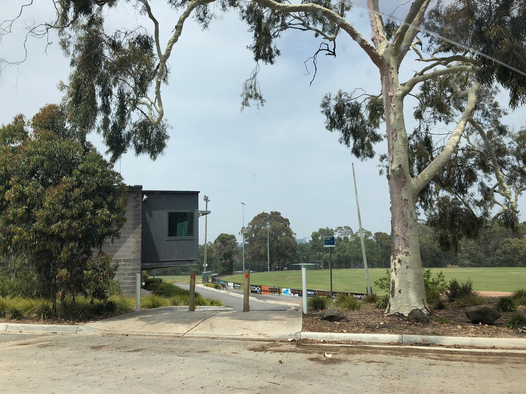 Mullum Mullum Reserve景点图片