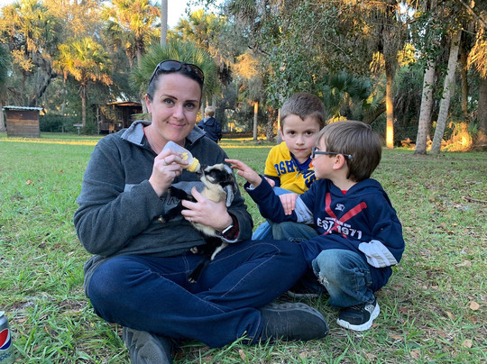 Crowley Museum and Nature Center-萨拉索塔必去景点