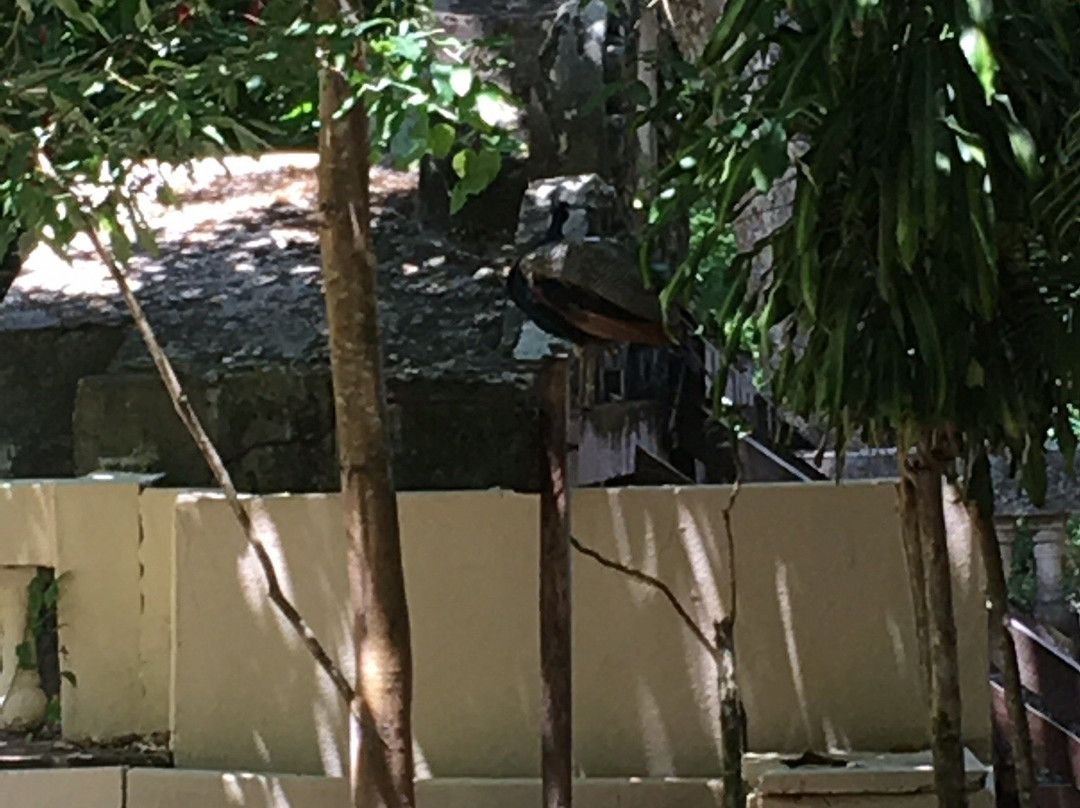 Parque Zoobotânico Arruda Câmara-Joao Pessoa必去景点