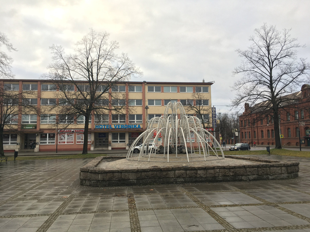 Hotel Veronika主图