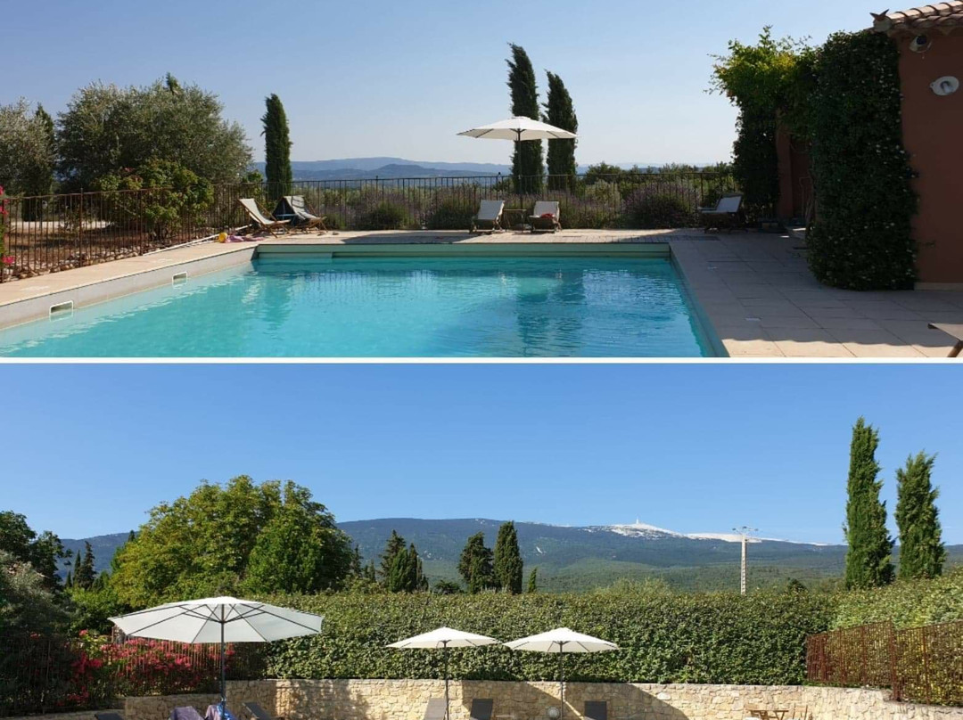 Mas des Olives主图