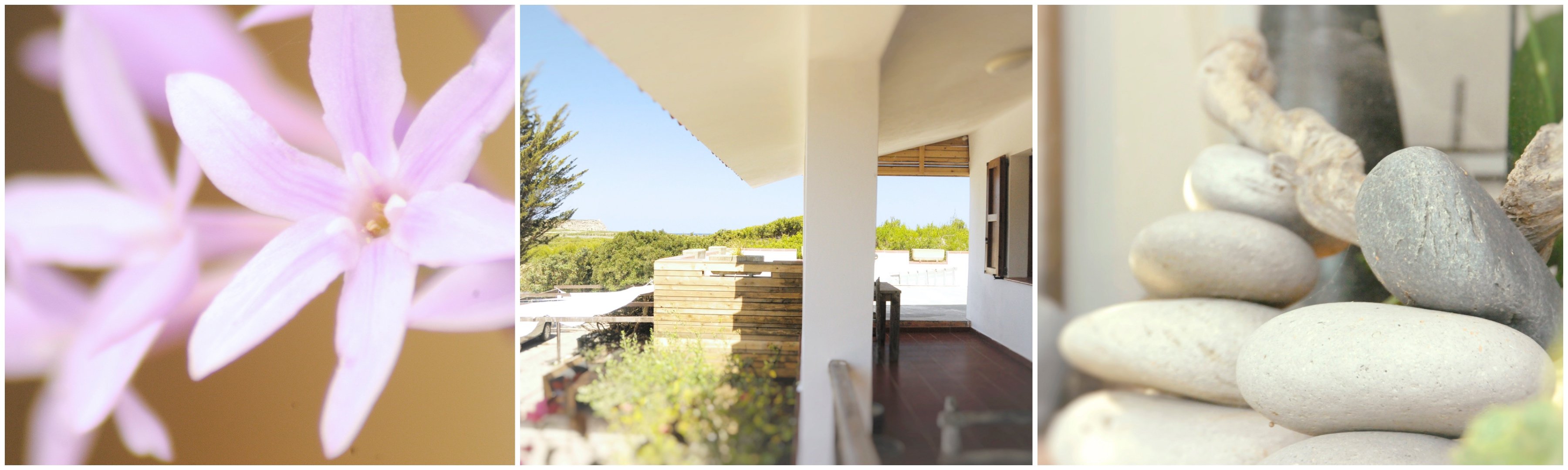 Janas Guesthouse-官方
