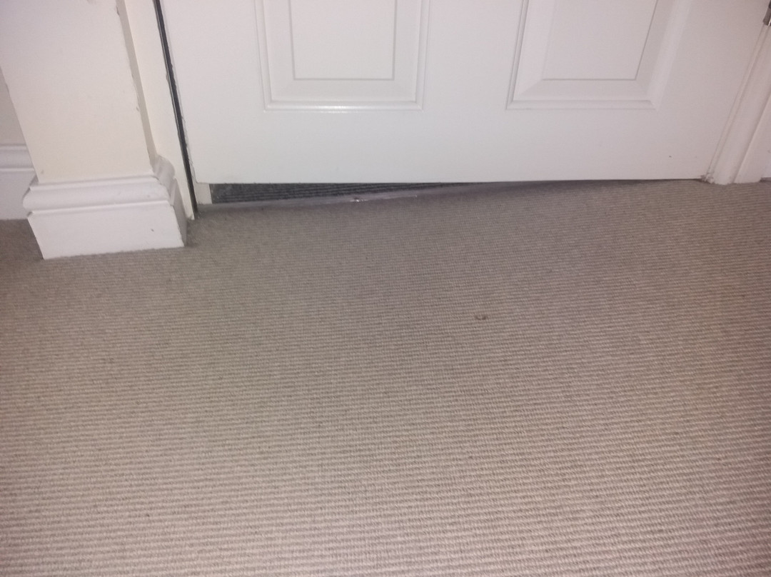 The Lion Hotel主图