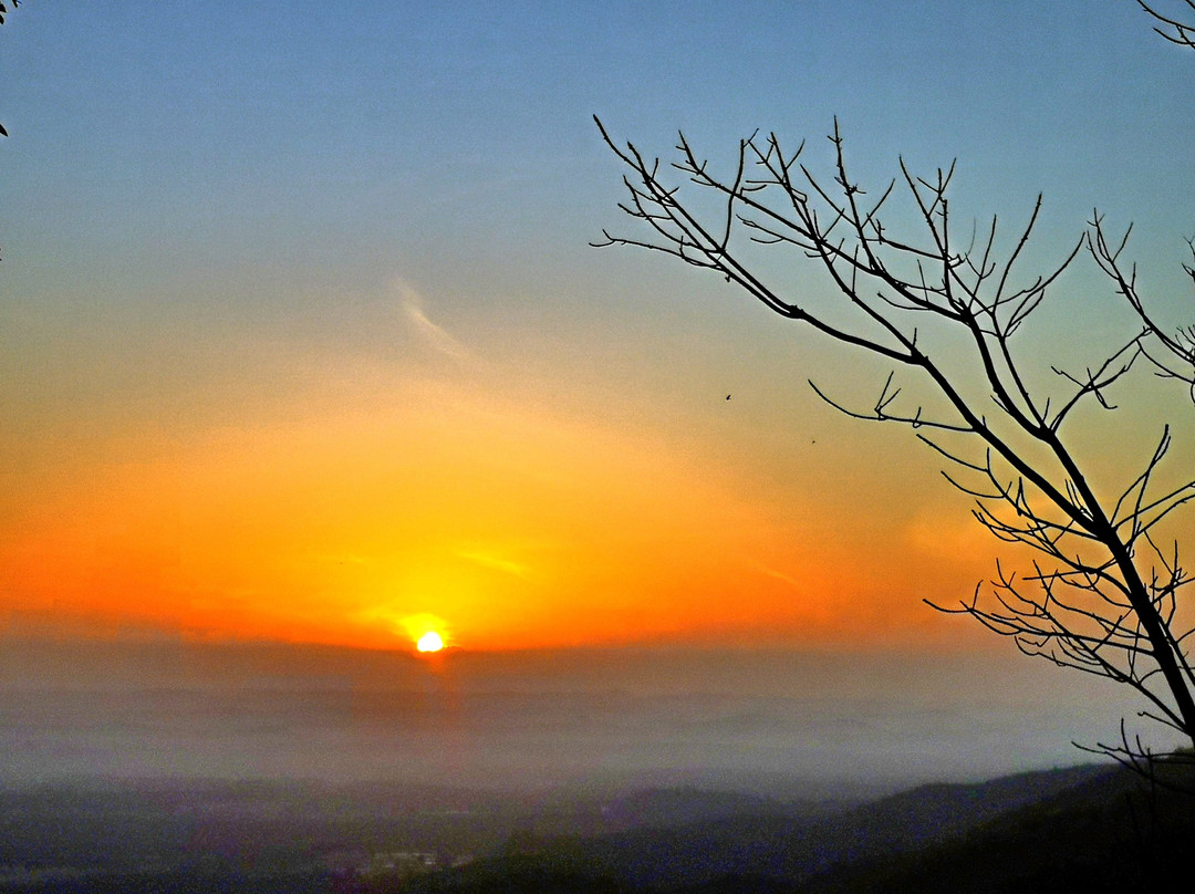 Bukit Taisho Bahau-Bahau必去景点