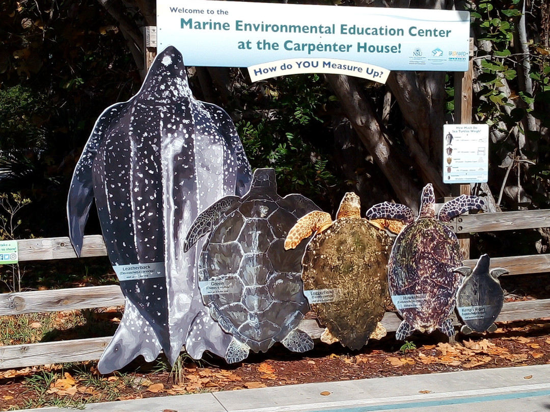 Marine Environmental Education Center景点图片