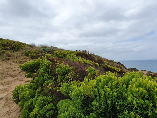 Secret Apostles Lookout