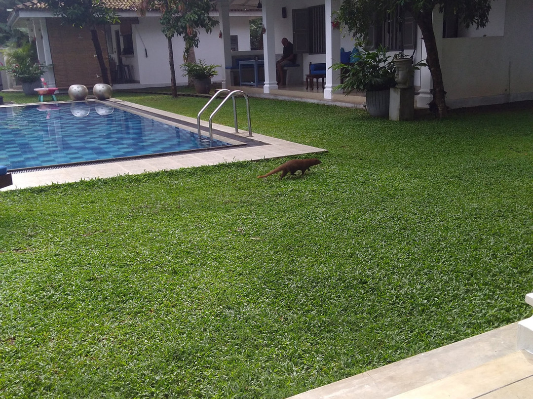 Thalpe Bungalows主图