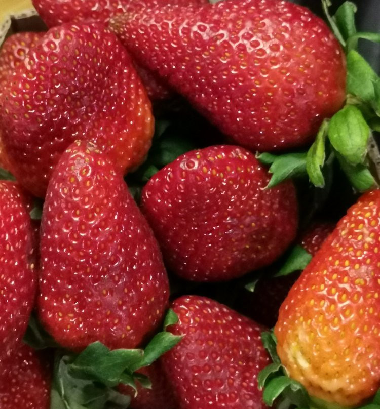 Central market-碧瑶必去景点