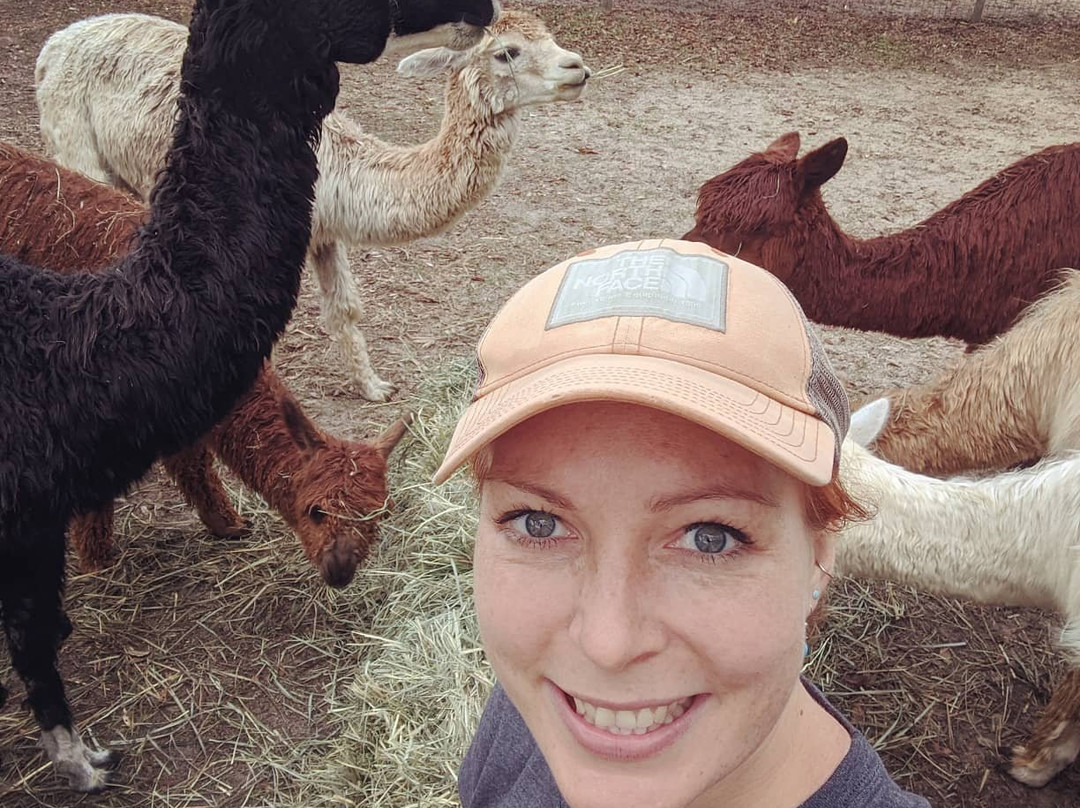LunaSea Alpaca Farm景点图片