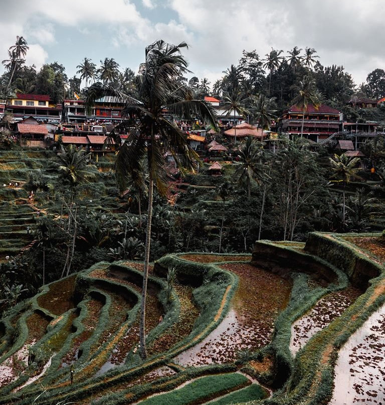 Arymas-苏卡瓦堤必去景点