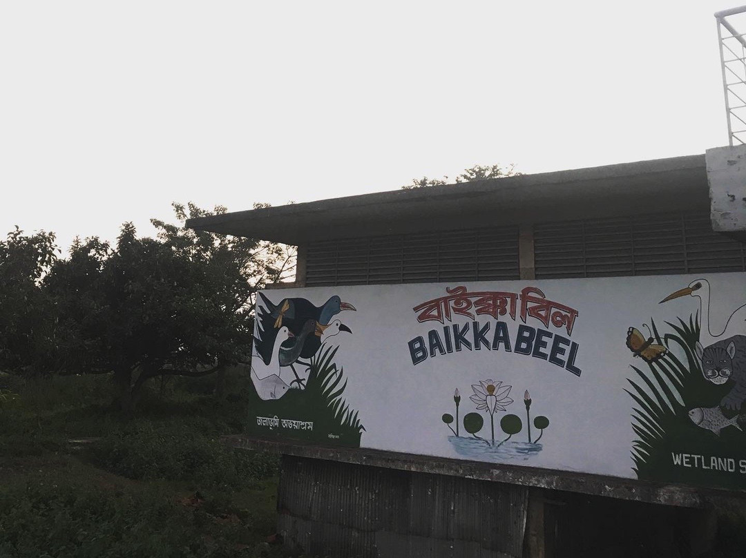 Baikka Beel Wetland Sanctuary-Sreemangal必去景点