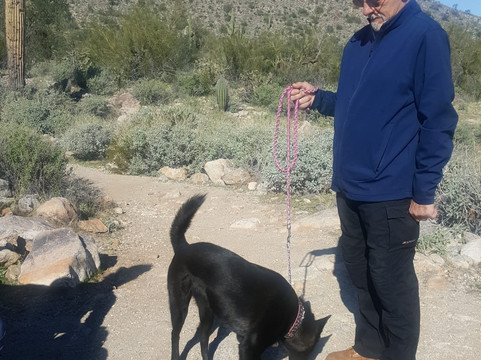 White Tank Mountain Regional Park-Waddell必去景点