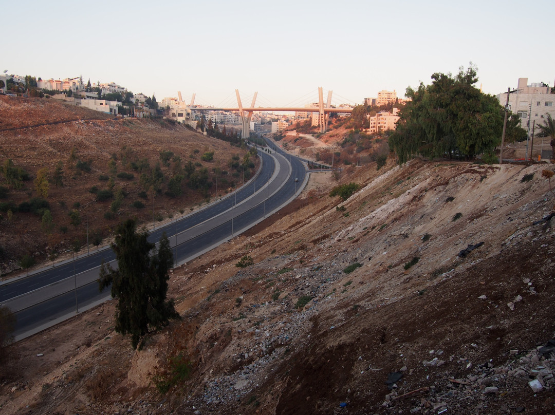 Olive Hotel Amman主图