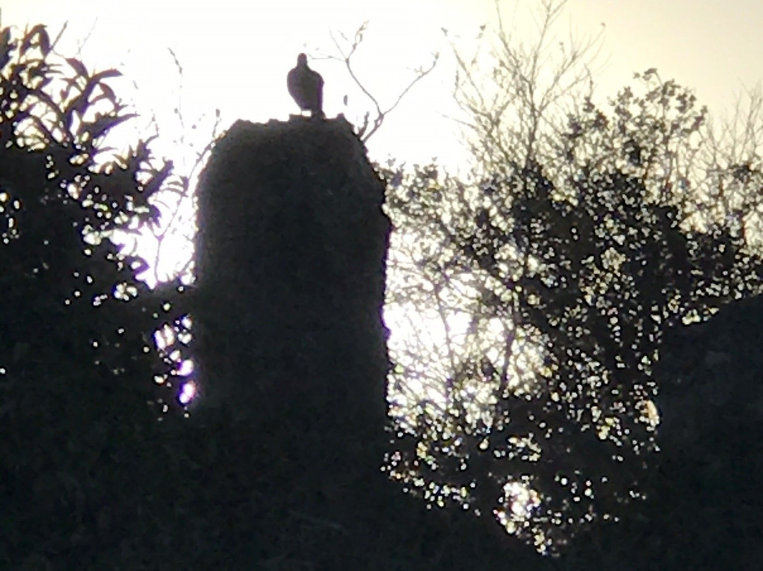 Ex Convento Franciscano-Tizimin必去景点