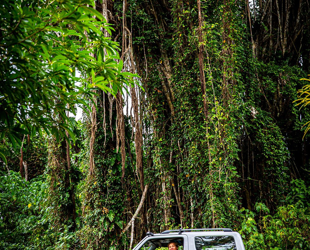 World Car Rentals Vanuatu-维拉港必去景点