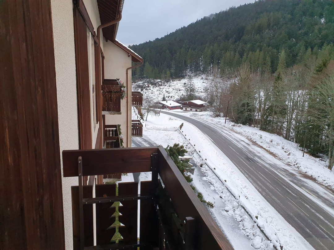 Logis Hôtel le Vétiné主图