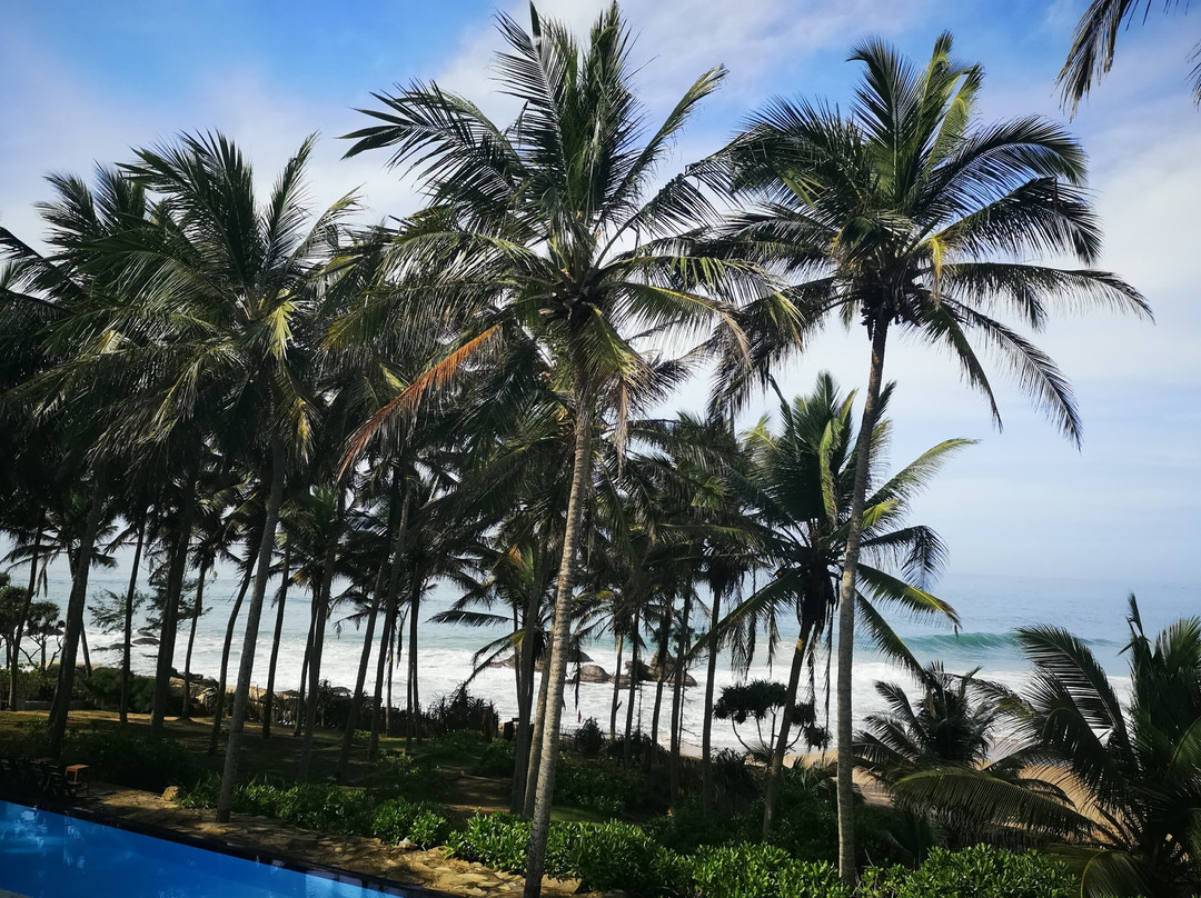 海龟湾大酒店主图