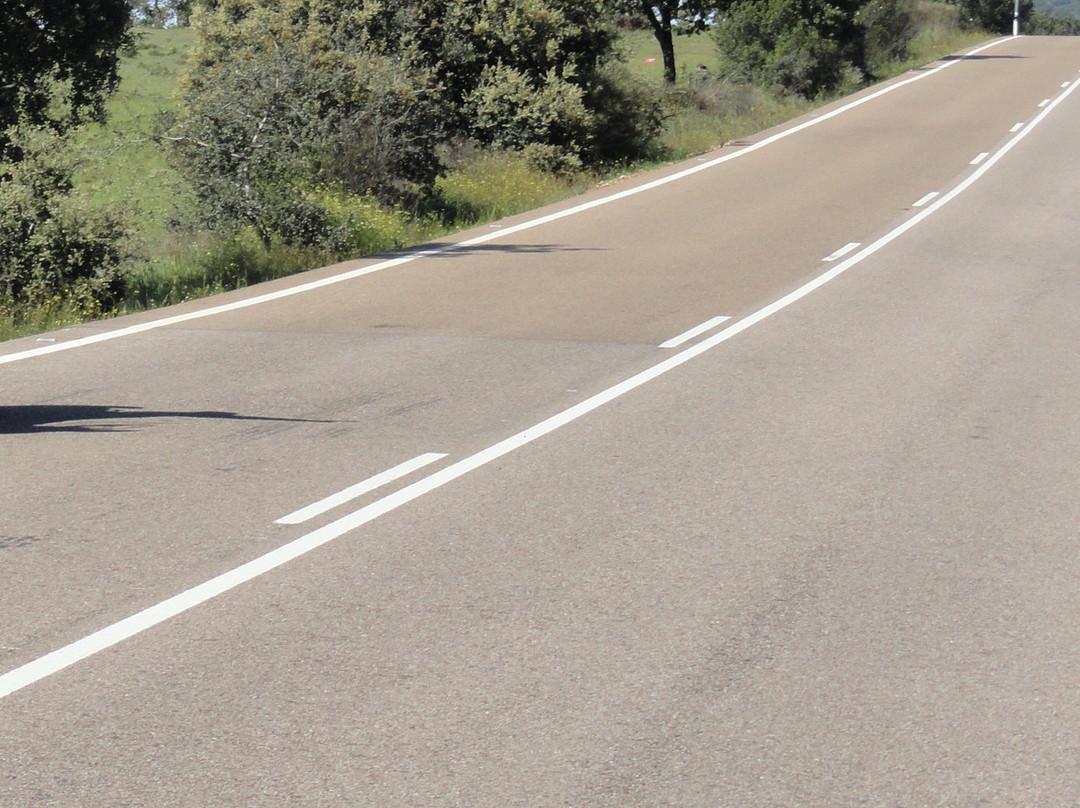 Hotel Los Arenales主图