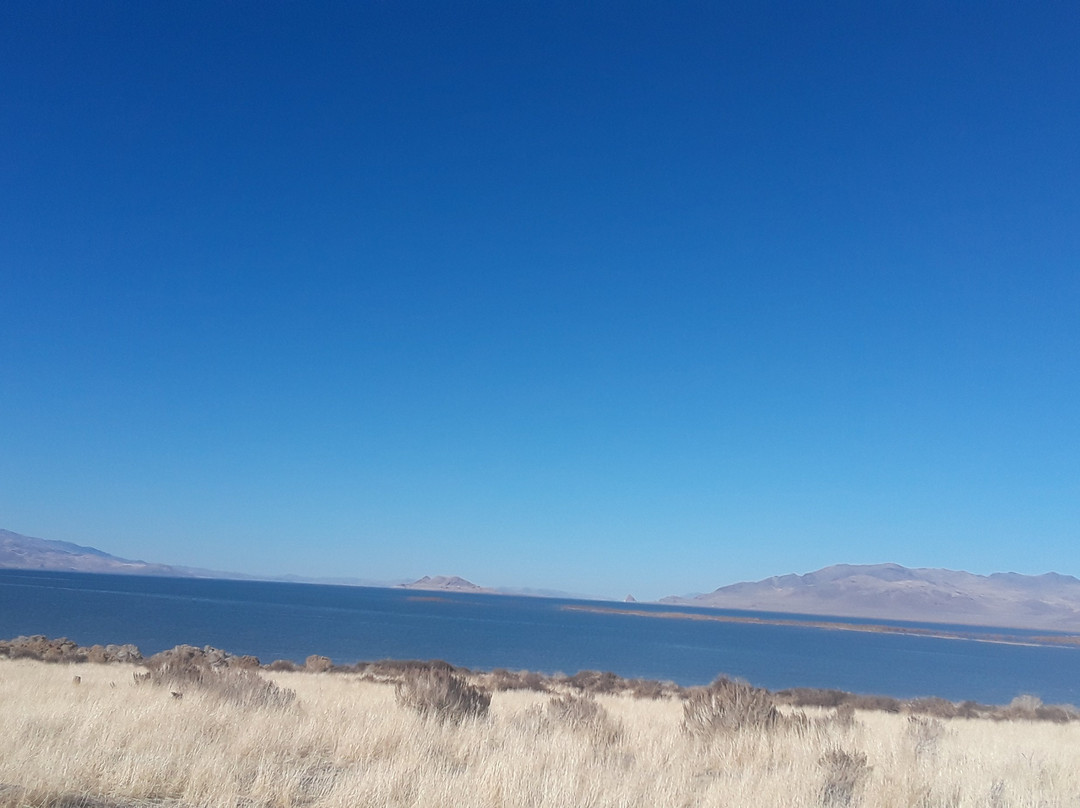 Pyramid Lake-内华达必去景点