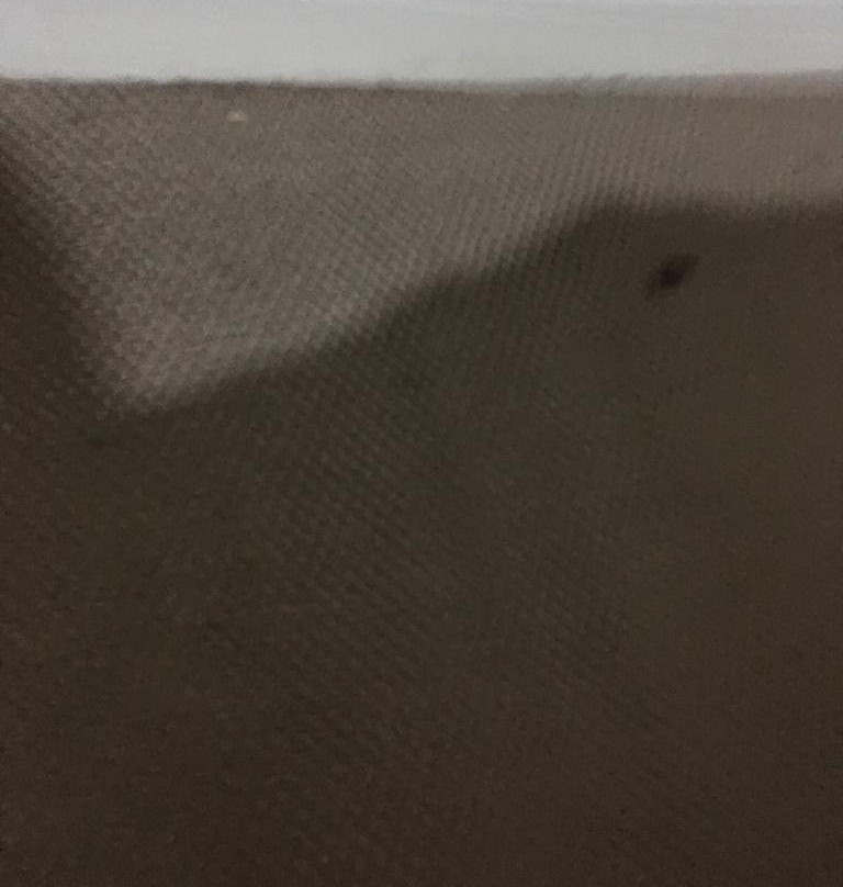 The Beeches主图