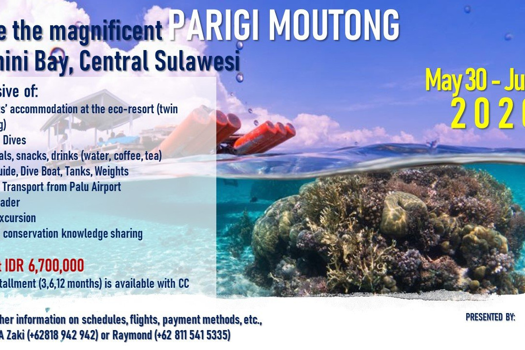 Parigi Moutong Dive Resort景点图片