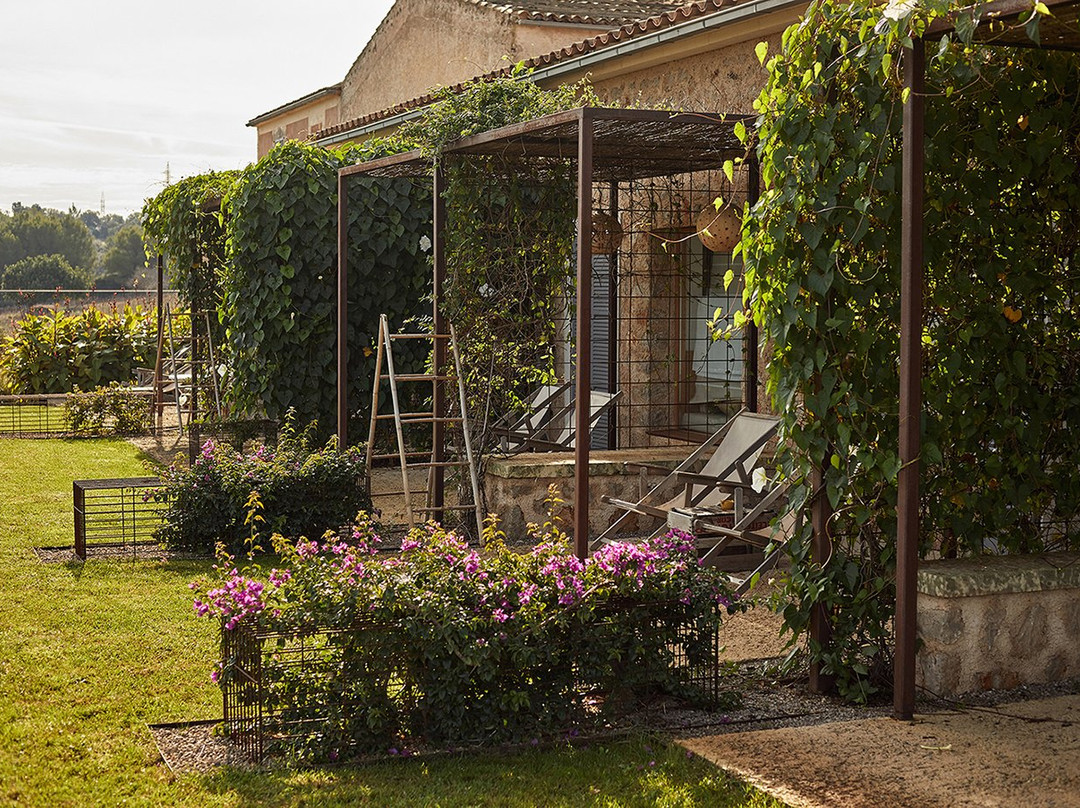 Finca S'Estelrica主图