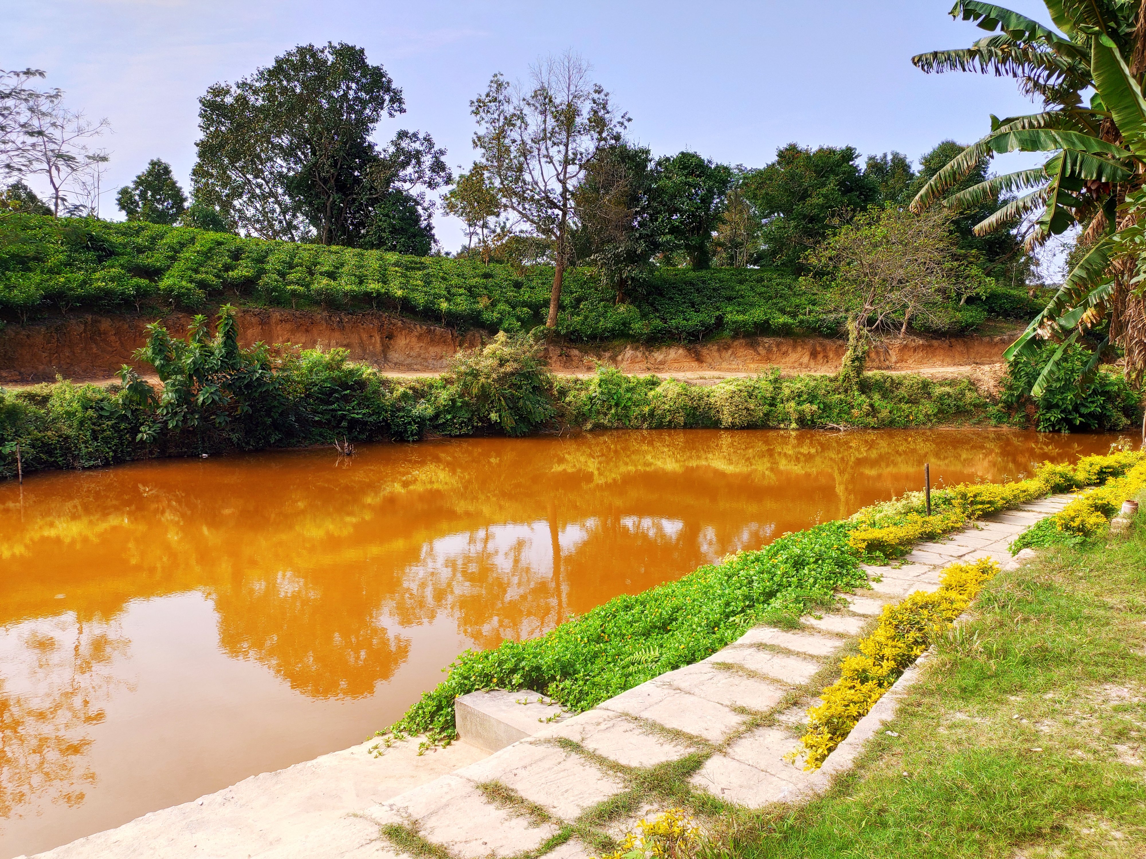 Kaziranga Eco Village Resort-官方
