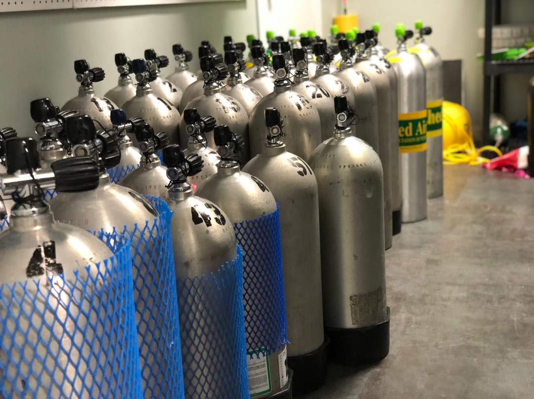 Bubbles or Not-Harlem必去景点