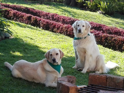 Coliving la Boira主图