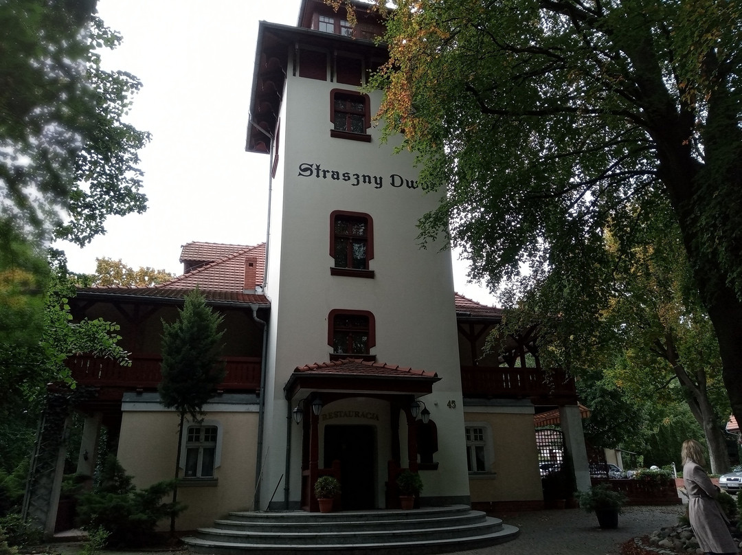 Straszny Dwor主图