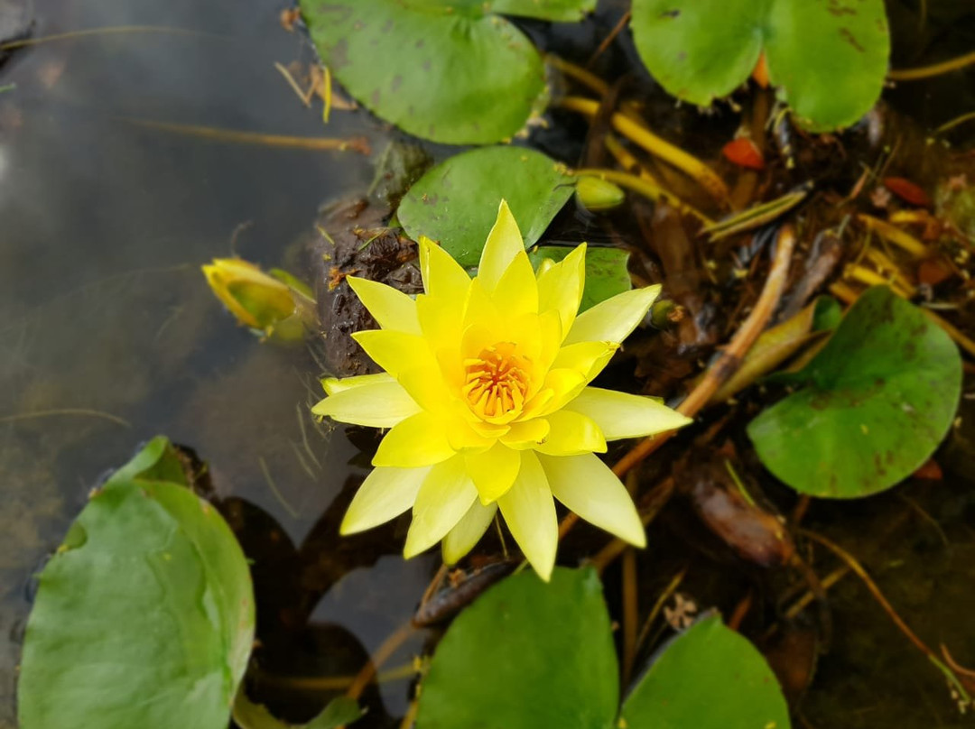 Posada del Olivo主图