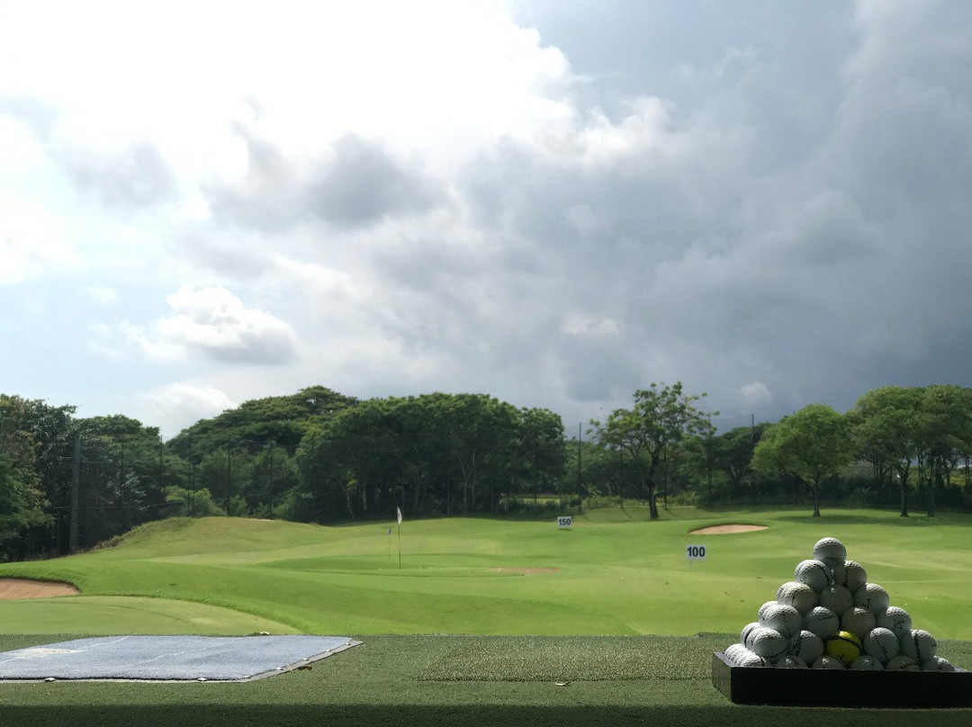 Leadbetter Golf Academy景点图片