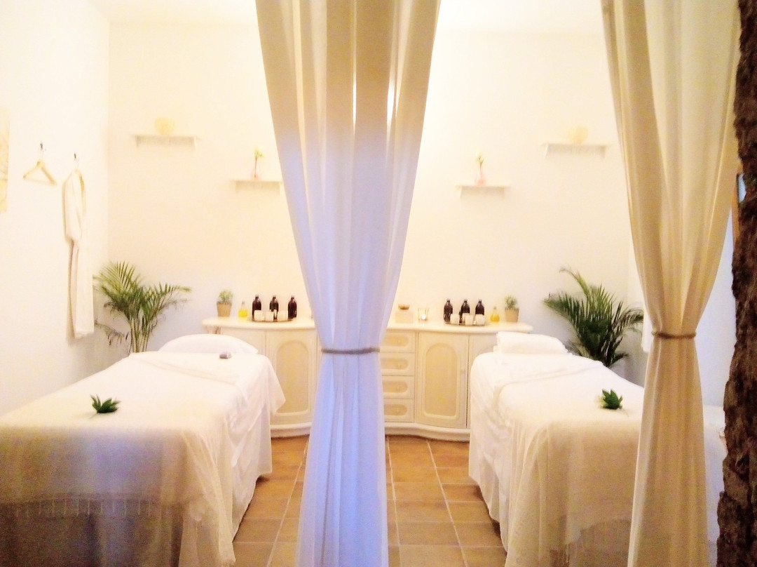 Alella Organic Spa-Alella必去景点