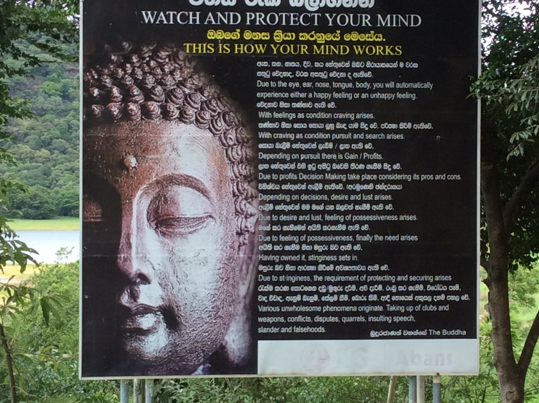 Buddha Statue景点图片