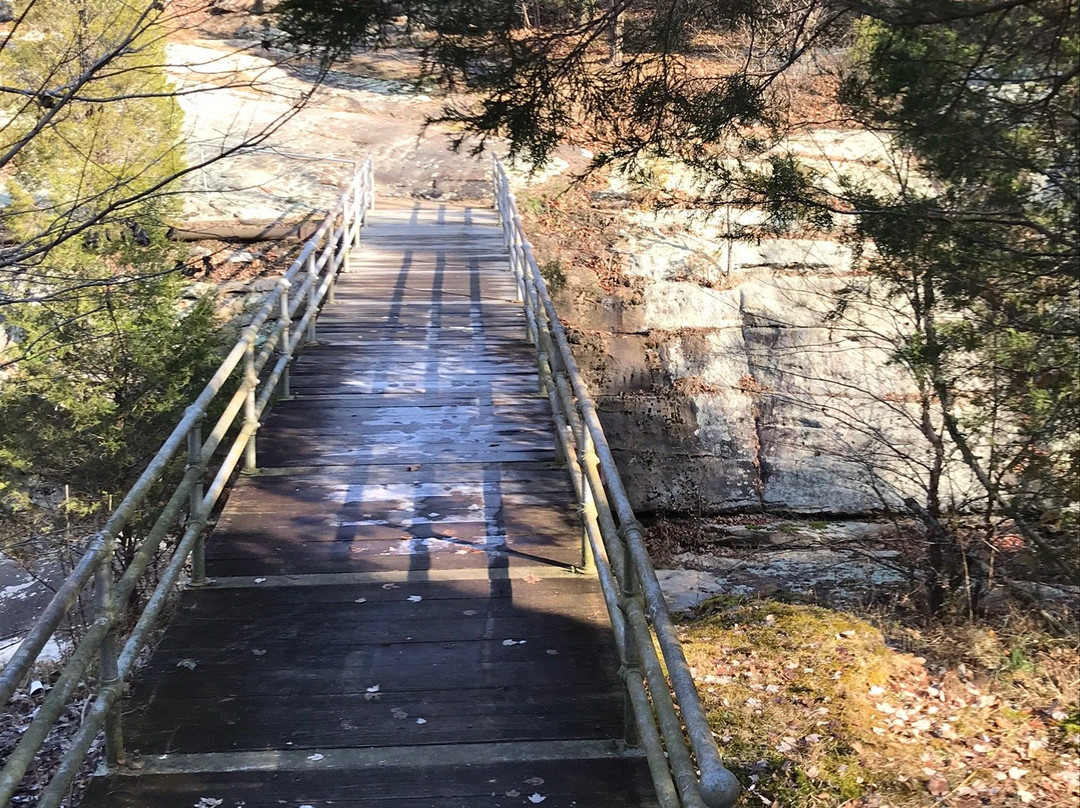 Dixon Springs State Park-Golconda必去景点