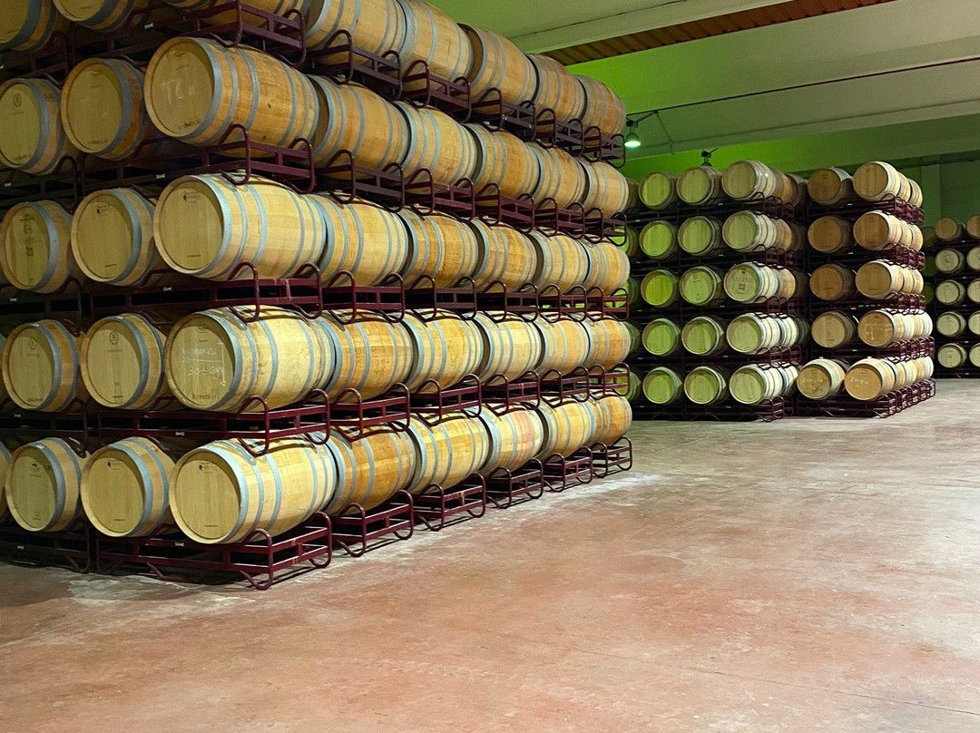 Bodegas Legaris-Curiel de Duero必去景点