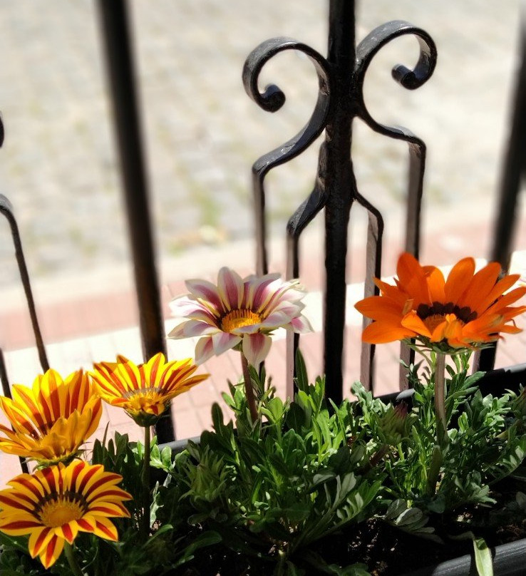 La Casona Hotel Museo主图