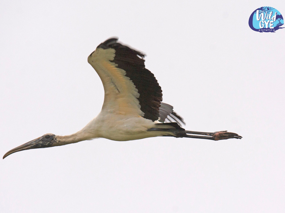 Manglares Churute Ecological Reserve-Posorja必去景点