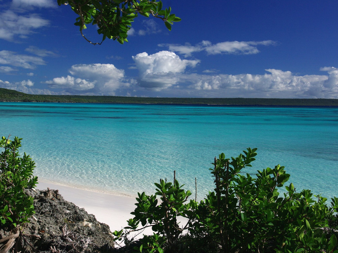 Plage de Luengoni景点图片