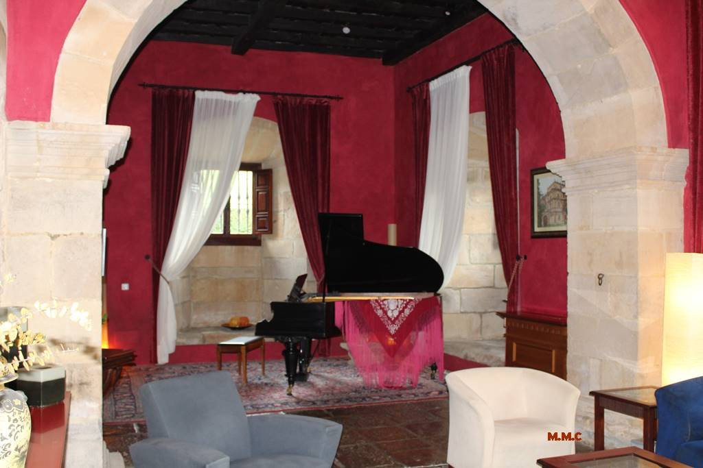 Abba Palacio de Soñanes Hotel主图