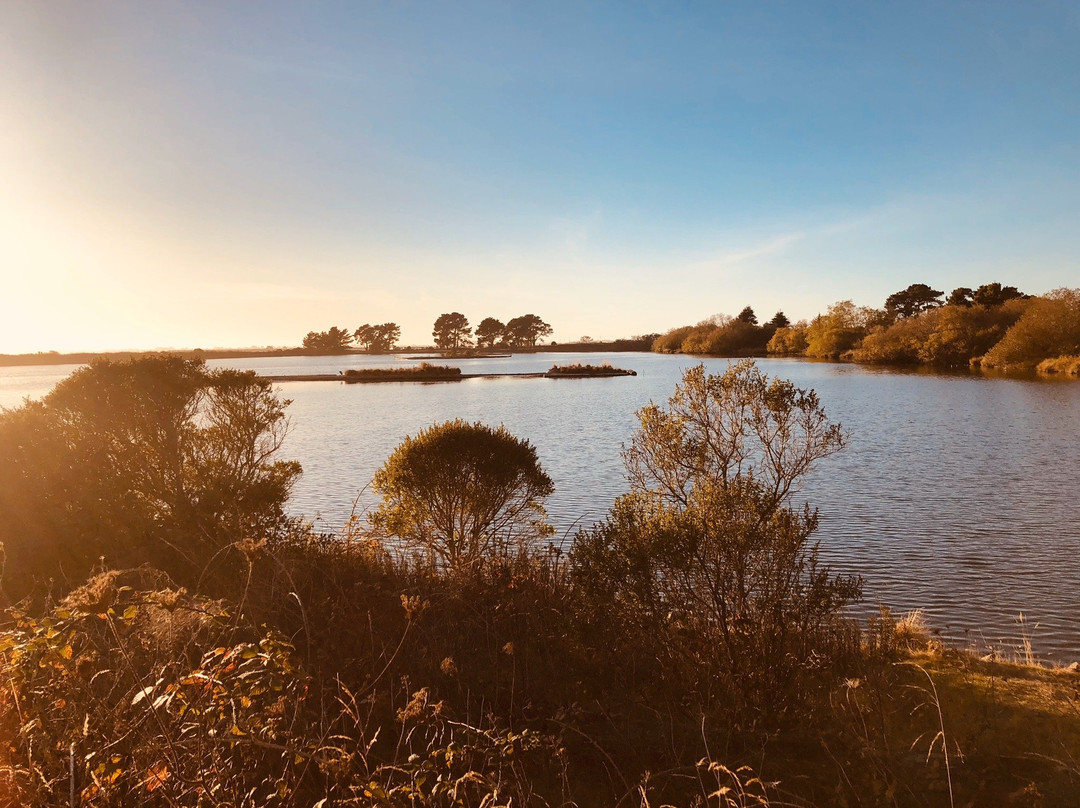 Arcata Marsh and Wildlife Sanctuary景点图片