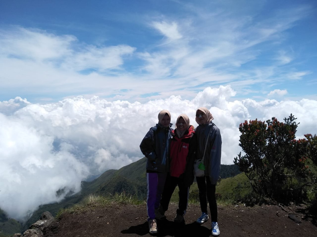 Mount Merbabu景点图片