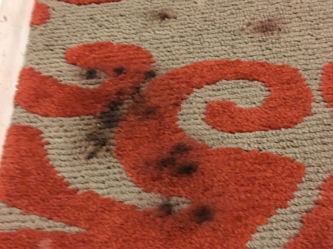 米勒公寓酒店主图