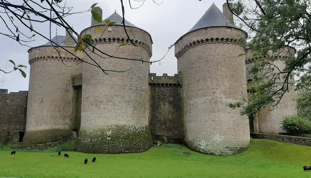 Chateau de Lassay-Lassay-les-Chateaux必去景点