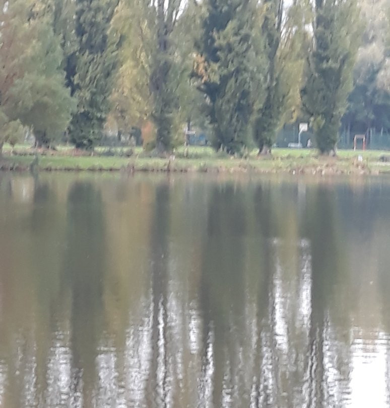 Parc Saint-Pierre景点图片