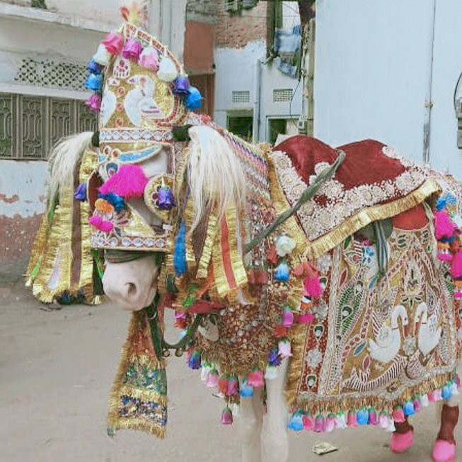 Jaipur Blue Pottery Art Centre-斋蒲尔必去景点