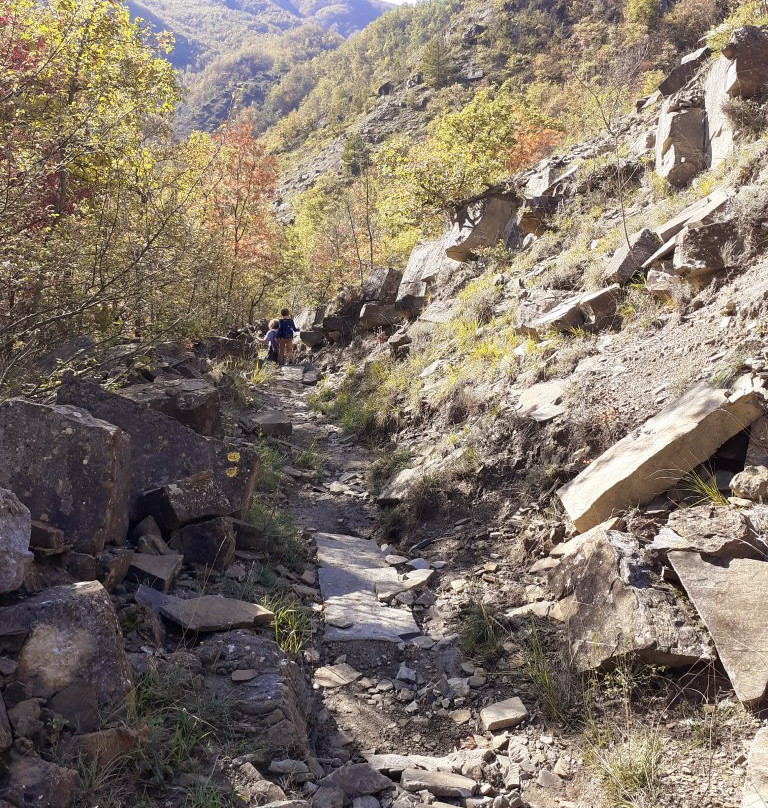 La Valle del Carlone e le sue cascate景点图片